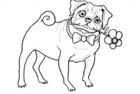 pig the pug coloring page