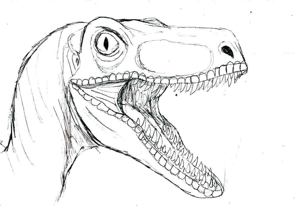 Velociraptor | Tu web especializada en dinosaurios