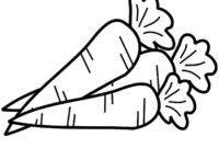 carrot coloring page carrot coloring page