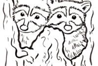 raccoon coloring raccoon coloring