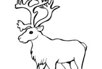 cute reindeer coloring pages cute reindeer coloring pages