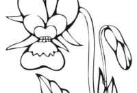 hugo l escargot fleur hugo l escargot fleur