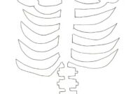 cut out paper skeleton template