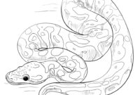 colouring picture of snake