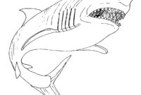 shark.coloring page