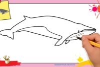 comment dessiner une baleine comment dessiner une baleine
