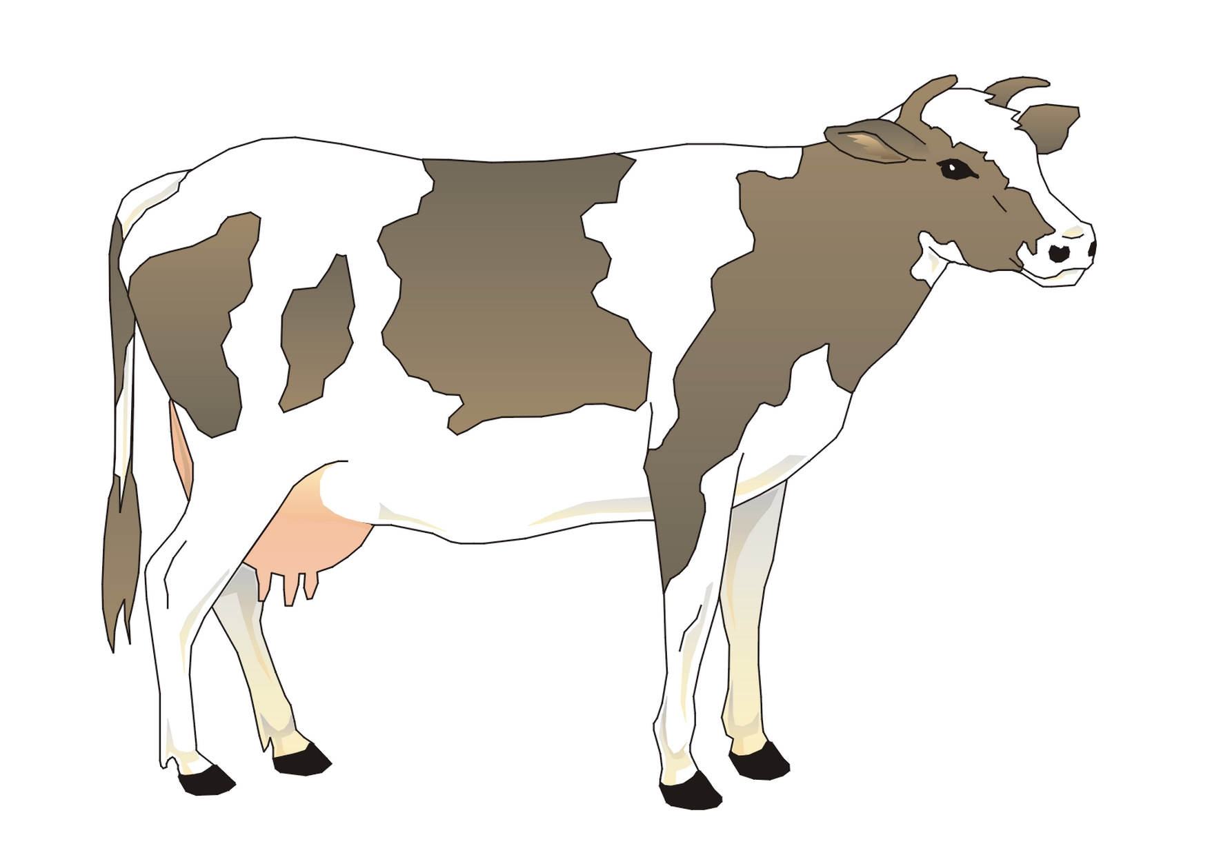 illustration de vache (4)
