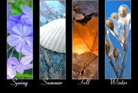 mot exotique font d cran mot exotique font d cran