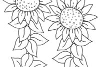 sunflower coloring page pdf sunflower coloring page pdf