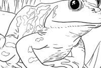 kermit the frog coloring pages kermit the frog coloring pages