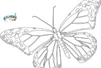free monarch butterfly coloring pages