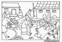 garden coloring pages for preschool garden coloring pages for preschool