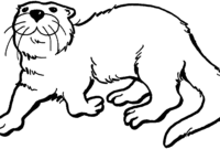 otters coloring pages otters coloring pages