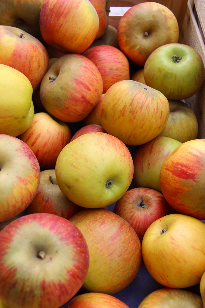 Pomme Reinette - Le Potager Coudoux