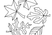 fall leaves coloring page fall leaves coloring page