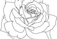 coloring pages rose coloring pages rose