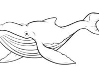 whale coloring pages whale coloring pages