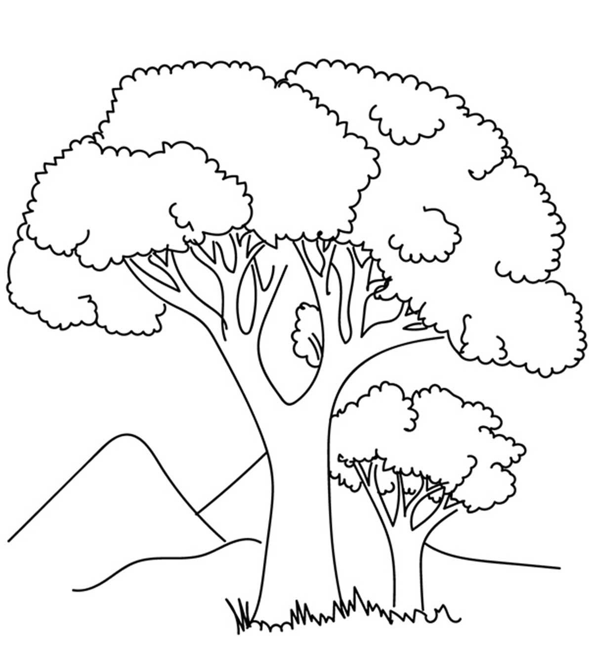 Tree Of Life Coloring Pages - Coloring Home