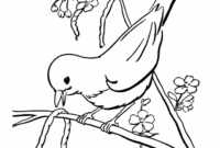 spring bird coloring pages spring bird coloring pages