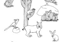 desert coloring page desert coloring page