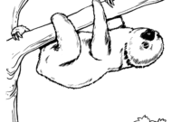 sloth coloring pages