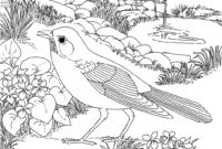 flower garden coloring pages