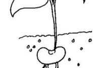 the tiny seed coloring page the tiny seed coloring page