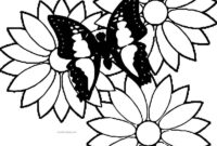 may flowers coloring pages may flowers coloring pages