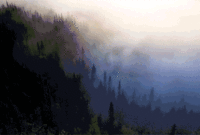 11 nvidia shield 4k hdr android tv manual gif 11 nvidia shield 4k hdr android tv manual gif