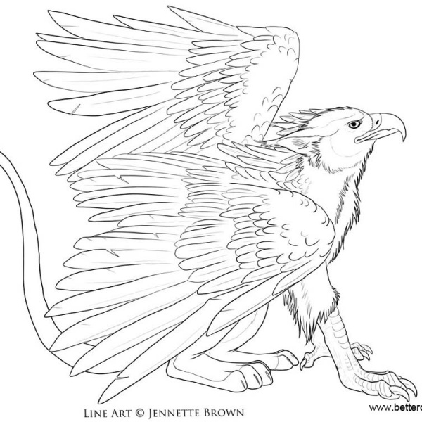 Griffin Coloring Pages - Free Printable Coloring Pages