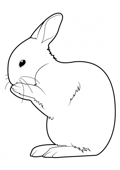 Lapin 7 | Coloriage lapin, Coloriage animaux, Coloriage animaux de la ferme