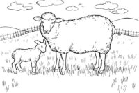 sheep colouring picture sheep colouring picture