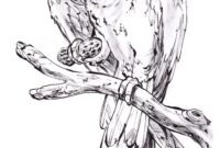 parrot coloring pages