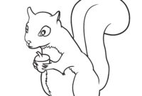 free squirrel coloring pages free squirrel coloring pages