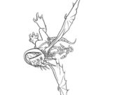 stormfly coloring pages stormfly coloring pages