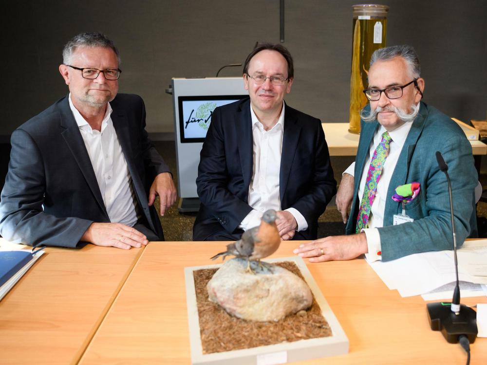 Klimaschäden und Artensterben: „Unsere Existenz steht auf dem Spiel“