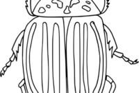 download dessin a imprimer insecte background download dessin a imprimer insecte background