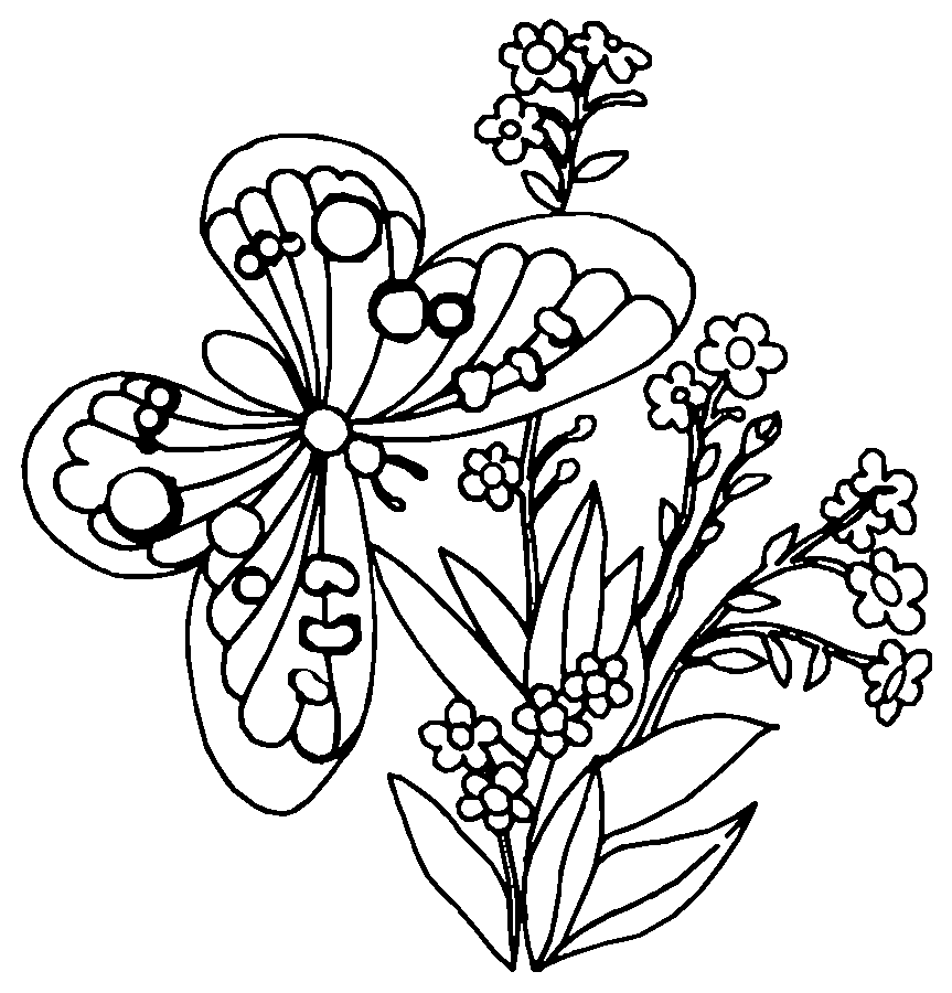 Coloring Pages of Flowers and Butterflies | Educative Printable