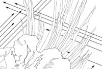 giotto coloring page giotto coloring page