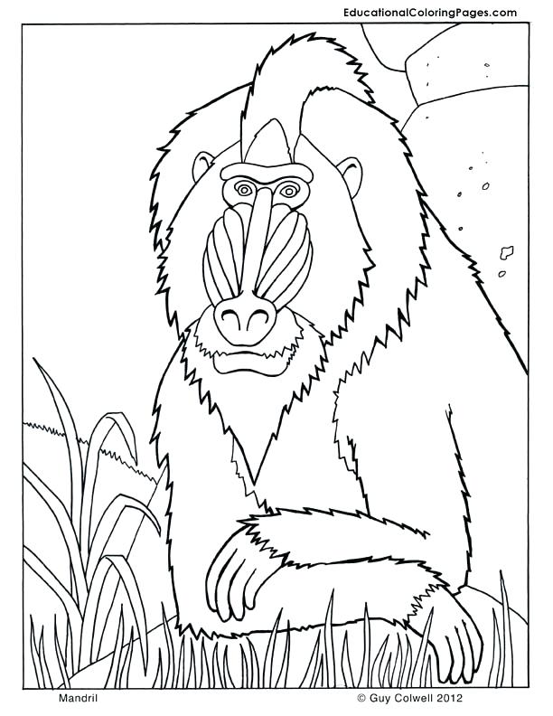 Mae Jemison Coloring Page at GetColorings.com | Free printable