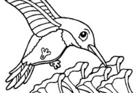 cute hummingbird coloring pages cute hummingbird coloring pages