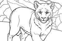 cougar coloring pages
