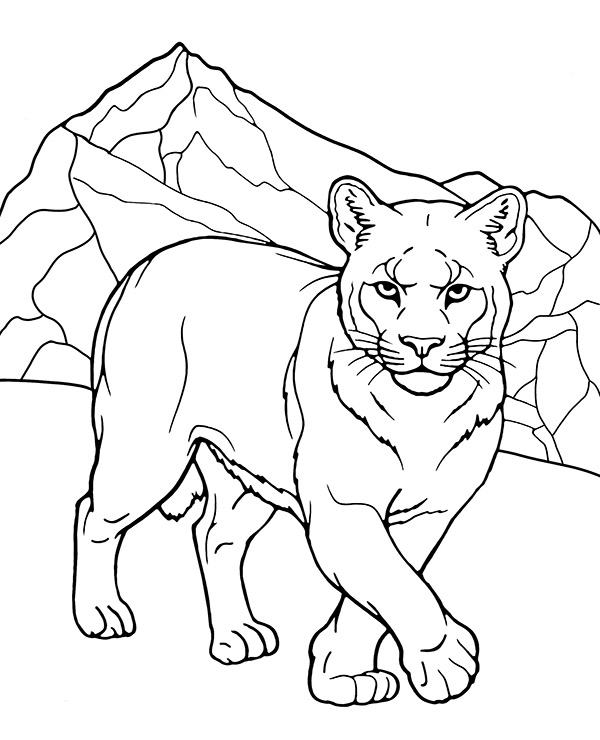 Cougar coloring page to print - Topcoloringpages.net