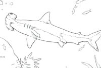 scary shark coloring pages scary shark coloring pages