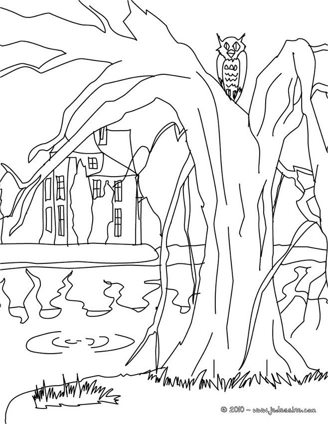 Coloriages chateau hante à colorier - fr.hellokids.com
