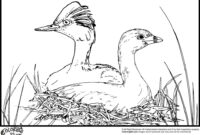 stork coloring pages stork coloring pages