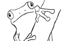 tree frog coloring pages tree frog coloring pages