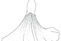 wedding dress coloring page
