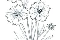 wildflower coloring pages wildflower coloring pages