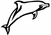 46 dauphin dessin a imprimer background 46 dauphin dessin a imprimer background
